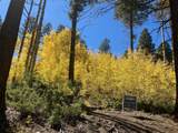 Valle Escondido Wapiti Loop - Photo 22