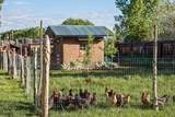 609 Callejon Road - Photo 30
