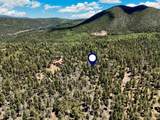 Lot 55 Back Basin - Photo 17