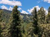 Lot 55 Back Basin - Photo 8