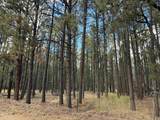 Lot  7 Pine Valley - Photo 5