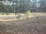 Lot 7 Pine Top Lane - Photo 2
