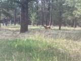 Lot 7 Pine Top Lane - Photo 3