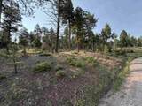 Lot 1581 Luna - Photo 1