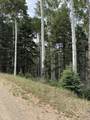 Lot 4 Back Basin Road - Photo 1