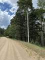 Lot 4 Back Basin Road - Photo 3