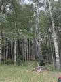 Lot 4 Back Basin Road - Photo 7