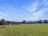 44 Preston Trail - Photo 37