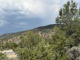 TBD Paseo Del Canon East - Photo 10
