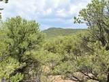 TBD Paseo Del Canon East - Photo 2