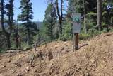 lot 208 Taos Drive - Photo 5