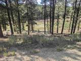 TBD Valle Grande Trail - Photo 4