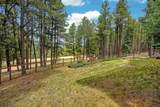 15 Black Lake Terrace - Photo 36