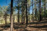 Lot 9 Snowmass Rd - Photo 10