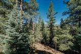 Lot 9 Snowmass Rd - Photo 5