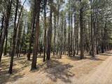 Lot 880 Calle De Las Palomas - Photo 2