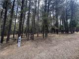 Lot 880 Calle De Las Palomas - Photo 6