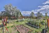 351 Blueberry Hill Rd - Photo 46