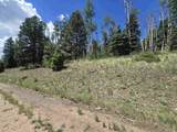 Lot 1302 Plesant Valley - Photo 10