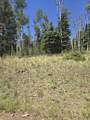 Lot 1302 Plesant Valley - Photo 11