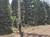 Lot 1302 Plesant Valley - Photo 13