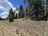 Lot 1302 Plesant Valley - Photo 4