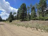 Lot 1302 Plesant Valley - Photo 8