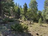 Lot 655 Panorama Way - Photo 6