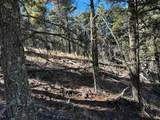 lot 261 Vista Del Valle - Photo 3