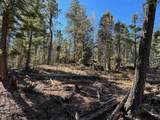 lot 261 Vista Del Valle - Photo 5