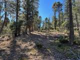 lot 261 Vista Del Valle - Photo 6