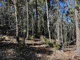 lot 261 Vista Del Valle - Photo 9