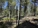 Lot 561 El Camino Real - Photo 10