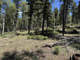 Lot 561 El Camino Real - Photo 11