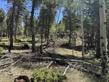 Lot 561 El Camino Real - Photo 12