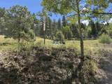 Lot 561 El Camino Real - Photo 13