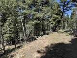 Lot 561 El Camino Real - Photo 14