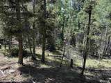 Lot 561 El Camino Real - Photo 15