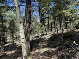 Lot 561 El Camino Real - Photo 16