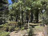 Lot 561 El Camino Real - Photo 18