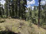 Lot 561 El Camino Real - Photo 2