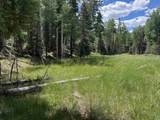 Lot 561 El Camino Real - Photo 6