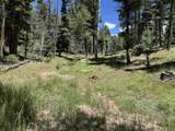 Lot 561 El Camino Real - Photo 7