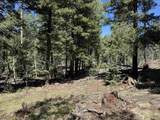 Lot 561 El Camino Real - Photo 9