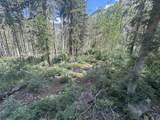 2 Lynx Drive - Photo 1