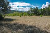Tract B Witt Road - Photo 10