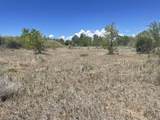Tract B Witt Road - Photo 4