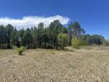 Tract B Witt Road - Photo 5