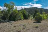 Tract B Witt Road - Photo 7