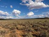 TBD Two Hawks Trail - Photo 4